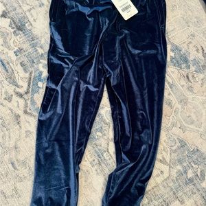 Fabletics Navy Blue Velour Jogger